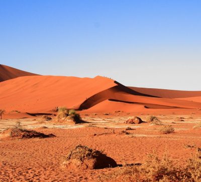 Singlereise Namibia - rote Dünen am Rand der Wüste